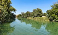 Şanlıurfa’da Saklı Güzellikte Neler Oluyor? Edene Göleti Masada