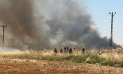 Şanlıurfa’da Rüzgarla Büyüyen Yangın: Onlarca Dönüm Zarar Gördü