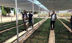 Fidanlıkta Hareketlilik! Üretim Süreci Yakından Takip Edildi