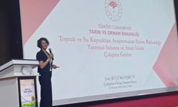 Bu Proje Her Şeyi Değiştirebilir! Şanlıurfa’da Su Paneli