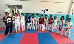 Akçakale Taekwondo Takımı Türkiye Şampiyonası Yolunda 16 Madalya Kazandı