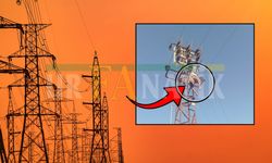 Akçakale'de Korkutan Olay: Akıma Kapılıp Elektrik Direğinde Asılı Kaldı!