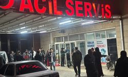 Akçakale'de Şarampole Devrilen Otomobilde 1'i Çocuk 5 Kişi Yaralandı
