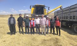 Şanlıurfa’da Arpa Bereketi: 170 Bin Hektarda 560 Bin Ton Rekolte Bekleniyor