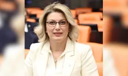Asu Kaya Kimdir, Kaç Yaşında, Nereli, Eşi, Çocukları, Mesleği Ne, Ne İş Yapar? CHP Osmaniye Milletvekili Asu Kaya’nın Hayatı