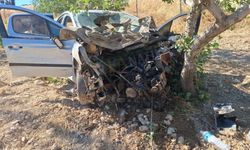 Şanlıurfa’da Otomobil Fıstık Tarlasına Uçtu: Kadın Sürücü Yaralandı