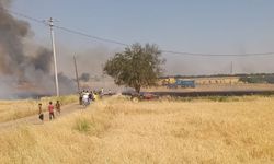 Şanlıurfa Bozova’da Buğday Tarlasında Yangın Paniği