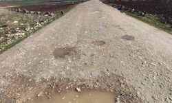 Şanlıurfa Bozova’da Köylülerden Yol İsyanı!