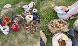 Çankırı'da Doğa Katliamına Karşı Operasyon: Milyonluk Ceza Kesildi
