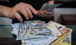 Dolar Kaç TL Oldu, Euro Ne Kadar? ( 5 Haziran Güncel Döviz Kurları)