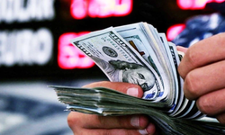 Dolar Kaç TL Oldu, Euro Ne Kadar? ( 13 Haziran Güncel Döviz Kurları)