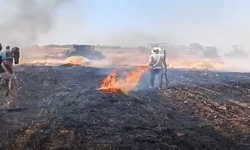 Şanlıurfa’da Kadın, Çocuk, Genç Yaşlı Herkes Tarladaydı! Mahalleli Faciayı Önledi