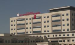 Şanlıurfa Son Dakika: Ceylanpınar'da Bıçaklı Kavga! 1 Yaralı