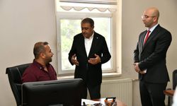 Ceylanpınar'da Mülkiyet Sorunu Çözülüyor! Vali Hasan Şıldak Müjdeyi Verdi
