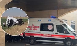 Şanlıurfa Ceylanpınar’da Tır Şarampole Devrildi: 1 Yaralı