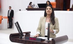 DEM Parti Şanlıurfa Milletvekili Ayan'dan Meclis Araştırması Talebi