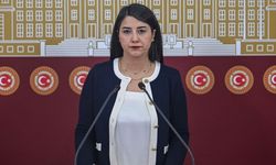 Dilan Kunt Ayan’dan Kadın Cinayetleri İçin Meclis Araştırması Talebi