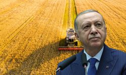 Cumhurbaşkanı Erdoğan Müjdeyi Duyurdu: Çiftçi Temel Destek Tutarı Arttırıldı