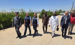 Gana Büyükelçisi’nden Şanlıurfa’da Su Ürünleri Üretim İstasyonuna Ziyaret
