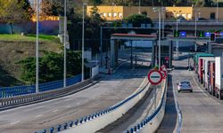 Edirne Sınır Kapısında 2 Vaşak ve 2 Serval Ele Geçirildi
