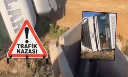Harran’da Buğday Yüklü Tır Şarampole Devrildi: Tonlarca Buğday Yola Saçıldı