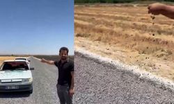Harran'da Sathi Kaplama Yol Uygulaması Vatandaşların Tepkisine Neden Oldu