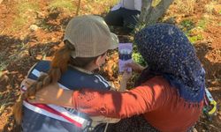 Şanlıurfa Jandarmasından Tarım İşçilerine KADES Eğitimi