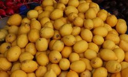 Şanlıurfa’da Limon Fiyatları Yeniden Yükselişte: Kilosu 120 TL’ye Ulaştı