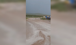 Mahmut Tanal’dan Mevsimlik Tarım İşçileri İçin Çağrı