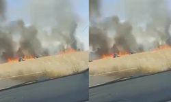 Şanlıurfa Akçakale’de Hasat Öncesi Büyük Kayıp!