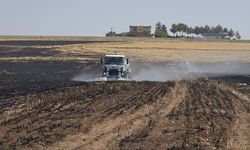 Şanlıurfa Ceylanpınar’da Arazi Yangını