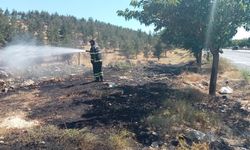 Şanlıurfa'da Çıkan Orman Yangını Kontrol Altına Alındı