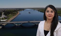 DEM Parti Şanlıurfa Milletvekili Ayan'dan Birecik Köprüsü Açıklaması
