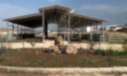 Şanlıurfa’da 20 Dönümlük Tavuk Çiftliği İcradan Satışta