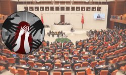 Şanlıurfa’da 21 Yaşındaki Genç Kadının Kaçırılıp Taciz Edildiği İddiası TBMM’de Gündem Oldu