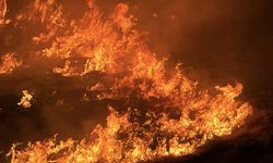 Şanlıurfa’da 300 Dönümlük Tarım Arazisini Yakan Şüpheli Gözaltına Alındı