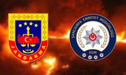 Şanlıurfa'da Anız Yangınlarına Yönelik Operasyon: Çok Sayıda Gözaltı Var
