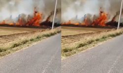 Şanlıurfa’da Çıkan Yangın 3 Mahalleye Sıçradı!