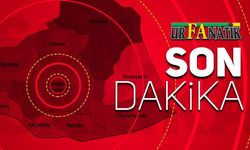 Şanlıurfa'da Komşular Arasında 'Elektrik Direği' Kavgasında Kan Aktı: Çok Sayıda Yaralı Var!
