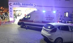 Karaköprü Mesire Alanındaki Bıçaklı Kavga Kanlı Bitti: 1 Yaralı, 1 Gözaltı