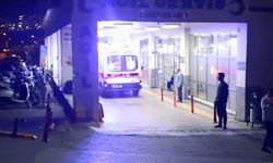 Şanlıurfa’da Yüksekten Düşen 2 Çocuk Hastaneye Kaldırıldı