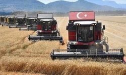 Şanlıurfa’dan Ülke Ekonomisine Büyük Katkı