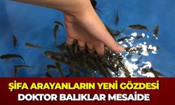 Şifa Arayanların Yeni Gözdesi: Kırşehir'de Doktor Balıklar Mesaide