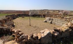Şanlıurfa Birecik’te Tarihi Kayalık Yerleşim Dikkat Çekiyor
