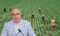Şanlıurfa Milletvekili Mahmut Tanal Tarım İşçilerinin Sorunlarını Meclise Taşıdı
