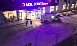 Urfa-Antep Karayolundaki Feci Olayda 1 Kişi Öldü, 1 Kişi Yaralandı
