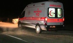 Viranşehir-Ceylanpınar Karayolunda Feci Kaza: Yaralılar Var