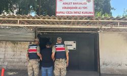 Şanlıurfa'da Yağma Suçundan Aranan Hükümlü Jandarmadan Kaçamadı