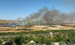 Şanlıurfa’da Ormanlık Alanda Büyük Yangın