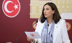 Evrim Rızvanoğlu Aslen Nereli ve Babası Ne İş Yapıyor? CHP İstanbul Milletvekili Evrim Rızvanoğlu’nun Hayatı